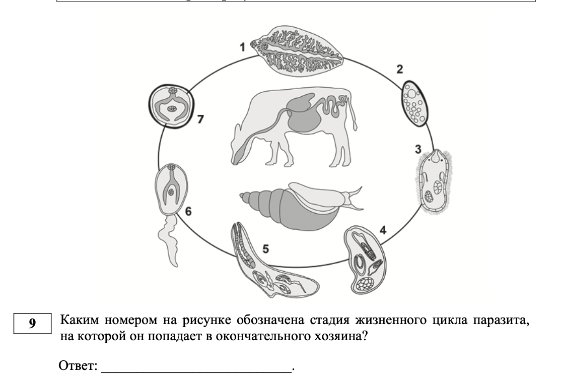 Снимок экрана 2025-03-31 в 12.28.59