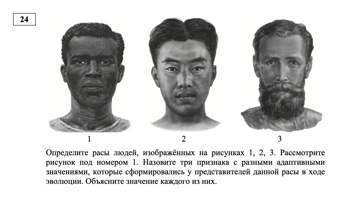 Снимок экрана 2025-03-31 в 12.30.46